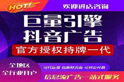 某行业sem竞价托管成功案例：精准投放的秘诀